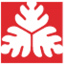 Polyoak logo