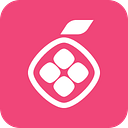 Pomelo Co logo