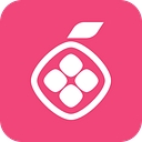 Pomelo Co logo