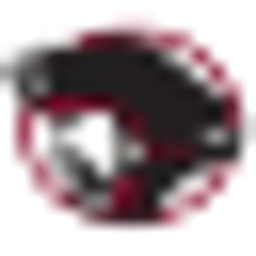 Pope Co High School logo