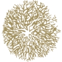 Poplar Grove Winery logo