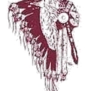 Poplar High School District logo
