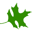 THE PORTLAND FOUNDATION logo