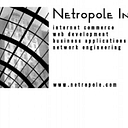 Netropole logo