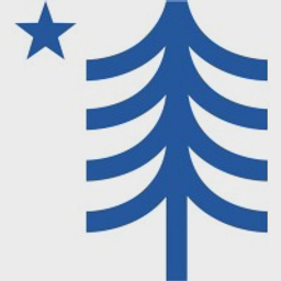 avatar logo