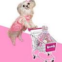 Posh Pet Glamour Boutique