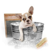 potomacanimalhospital.com