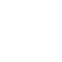 Favicon of PPT Solutions