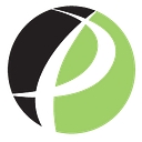 Practical Software Solutions logo