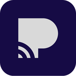 Practina AI logo