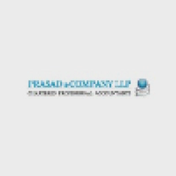 Prasad Inc Limited logo