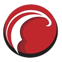 Precisionhawk logo