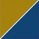 Precisionmedicinegroup logo