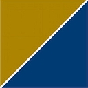 Precision Medicine Group logo