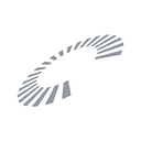 Precision Pathology Services logo