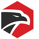 Precision Security Team Llc logo