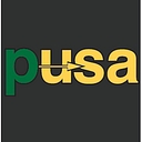 Precisionusa.Com logo