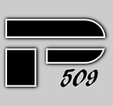 Precizion 509 Gymnastics logo