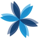 Premier Insurance Solutions Usa logo