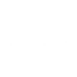Premier Academy of Cosmetology logo