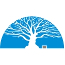 Premier Insurance Group logo
