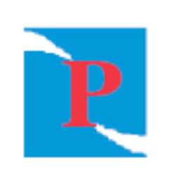 PREMIER IT SOLUTIONS logo