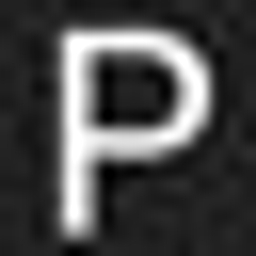 PP