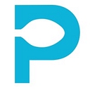 Favicon of Premier Payroll NY