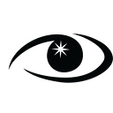 Premier Vision Group logo