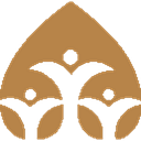 Premium Health Inc logo