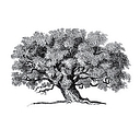 Preserved Nature logo