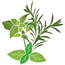 Favicon of Presto Humus GmbH