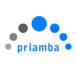 Priamba Soft LLC logo
