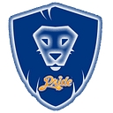 Central Illinois Pride logo