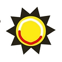 Primary Engineer logo