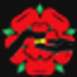 Prima Vets Limited logo