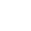 PrimeSec Inc. logo