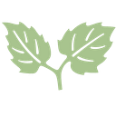 Primo Center for Women & Children logo