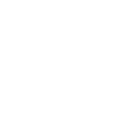 Primo Interiors Inc. logo