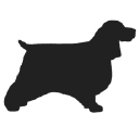 Primpaws Grooming Academy logo