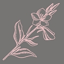 Primrose Legal Placement