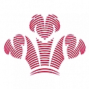 Prince's Trust International logo
