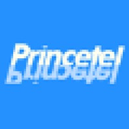 Princetel Inc logo