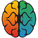 Prism Brain Mapping logo