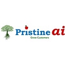 Pristine Infotech, Inc. logo