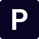 Privatize logo