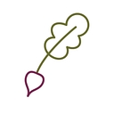 Prix Fixe Accounting