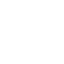 Pro Vigil Surveillance Services logo