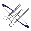 Professional Hair Stylist logo