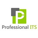 Professional It Sols Pvt. Ltd. logo
